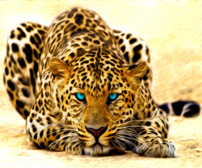 Картины Леопард с голубыми глазами