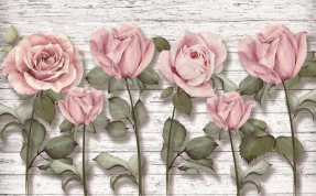 Розы на стене