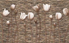 Цветы на стене