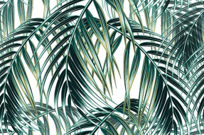 Ветви пальмы