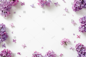 Цветы сирени