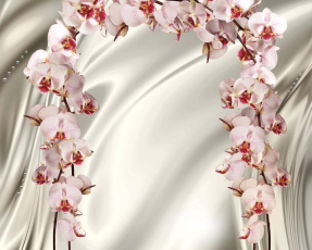 Орхидеи на шелке