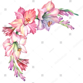 Акварельные гладиолусы
