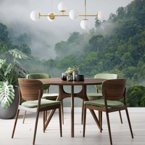 Зеленый лес в тумане