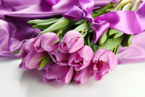 Картины Лиловые тюльпаны