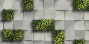 Кубы и зелень