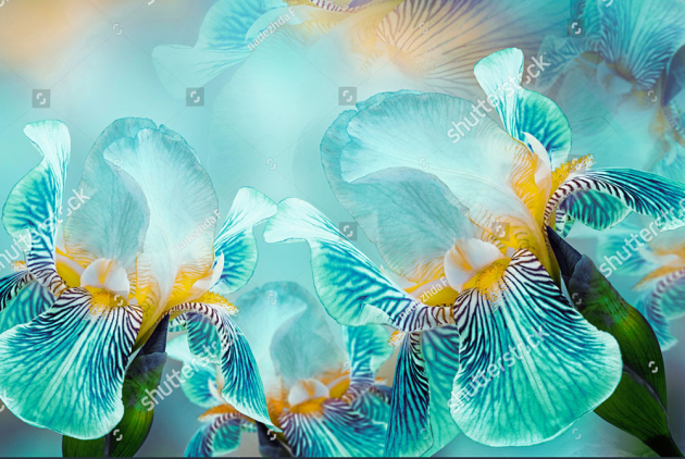 Неоновые ирисы