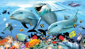 Дельфины