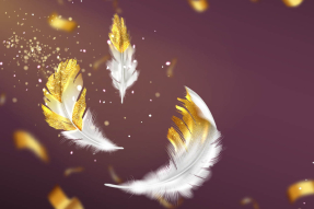 Нежные перья