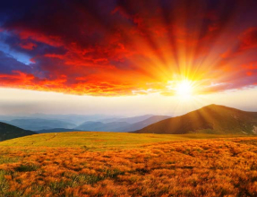 Поле с красным закатом