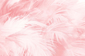 Розовые перья
