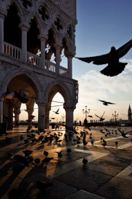 Площадь в Венеции