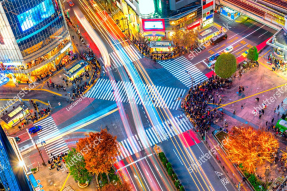 Вид на Токио