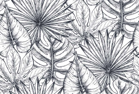 Рисованные тропические листья