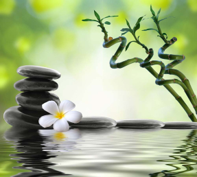 Бамбук и камни