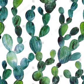 Акварельные кактусы