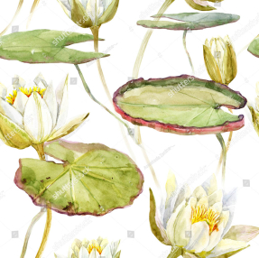 Акварельные кувшинки