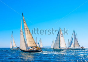 Regata