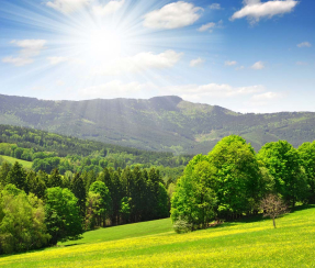 Солнечный пейзаж