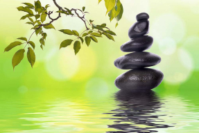 Бамбук над водой