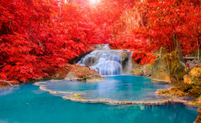 Водопад в лесу