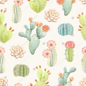 Милые кактусы