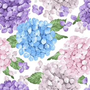 Акварельная гортензия