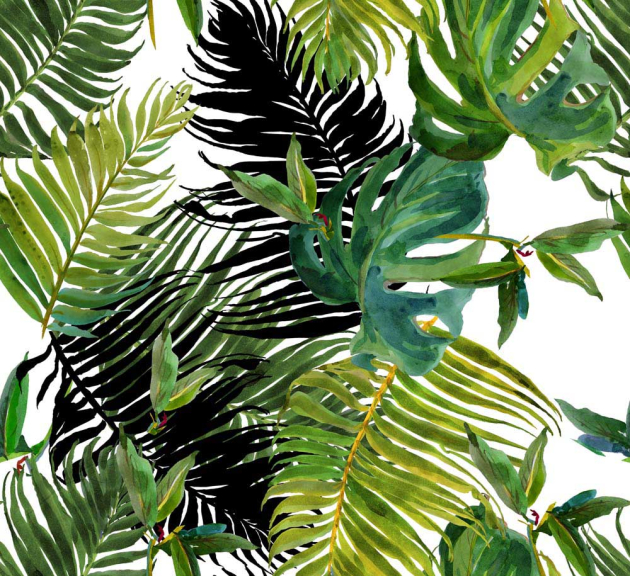 Листья монстеры