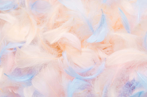 Нежно розовые перья