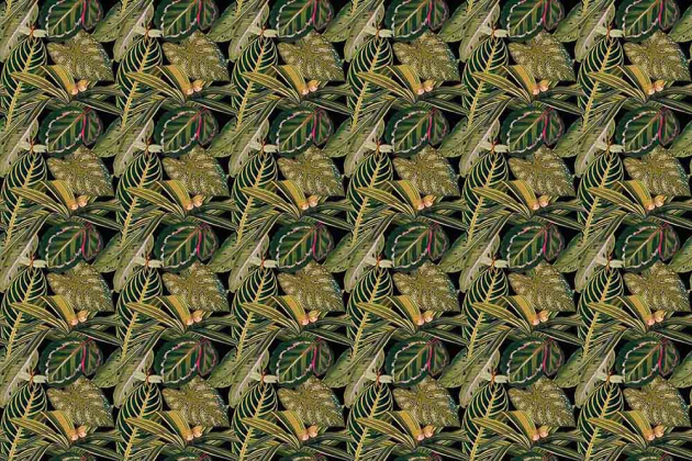 Тропические листья