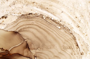 Кофейный флюид