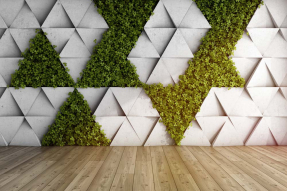 Стена и зелень