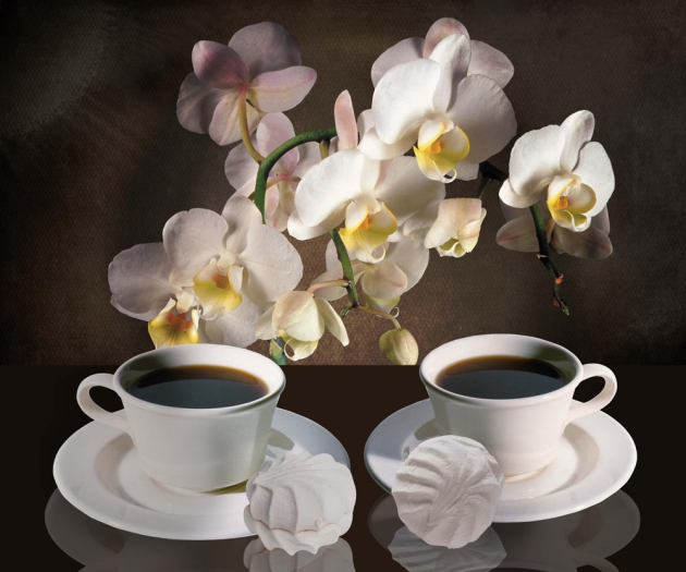Орхидеи и кофе