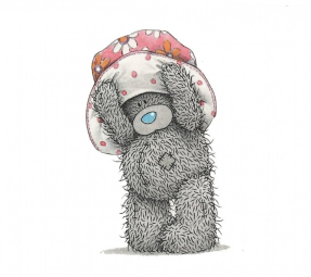 Мишка тедди