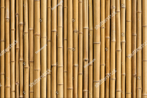 Стволы бамбука