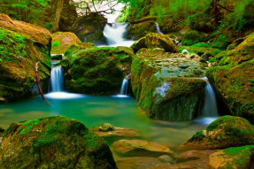 Водопад в лесу