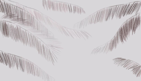 Свисающие листья