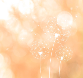 Оранжевые одуванчики