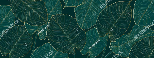 Зеленые листья папоротника