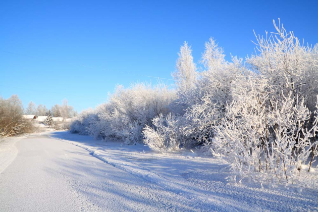 Снежная поляна