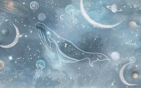 Кит созвездия