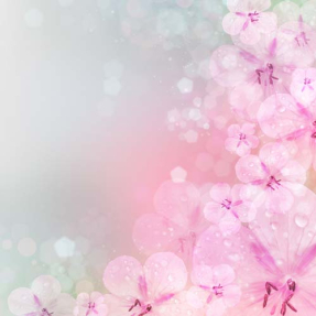 Нежные лютики