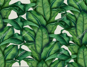 Банановые листья