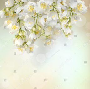 Цветущие ландыши