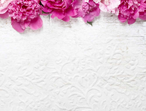 Стена с пионами