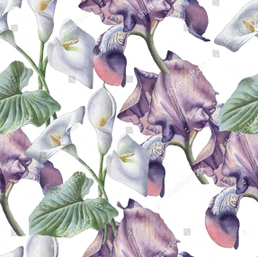 Акварельные ирисы и каллы