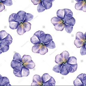 Анютины глазки