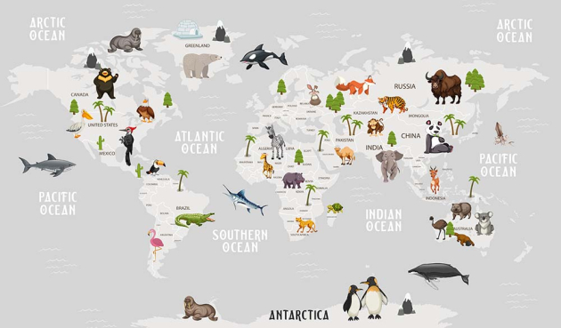 Карта со зверями