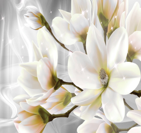 Белая Магнолия