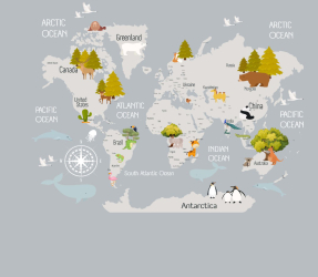 Детская карта мира